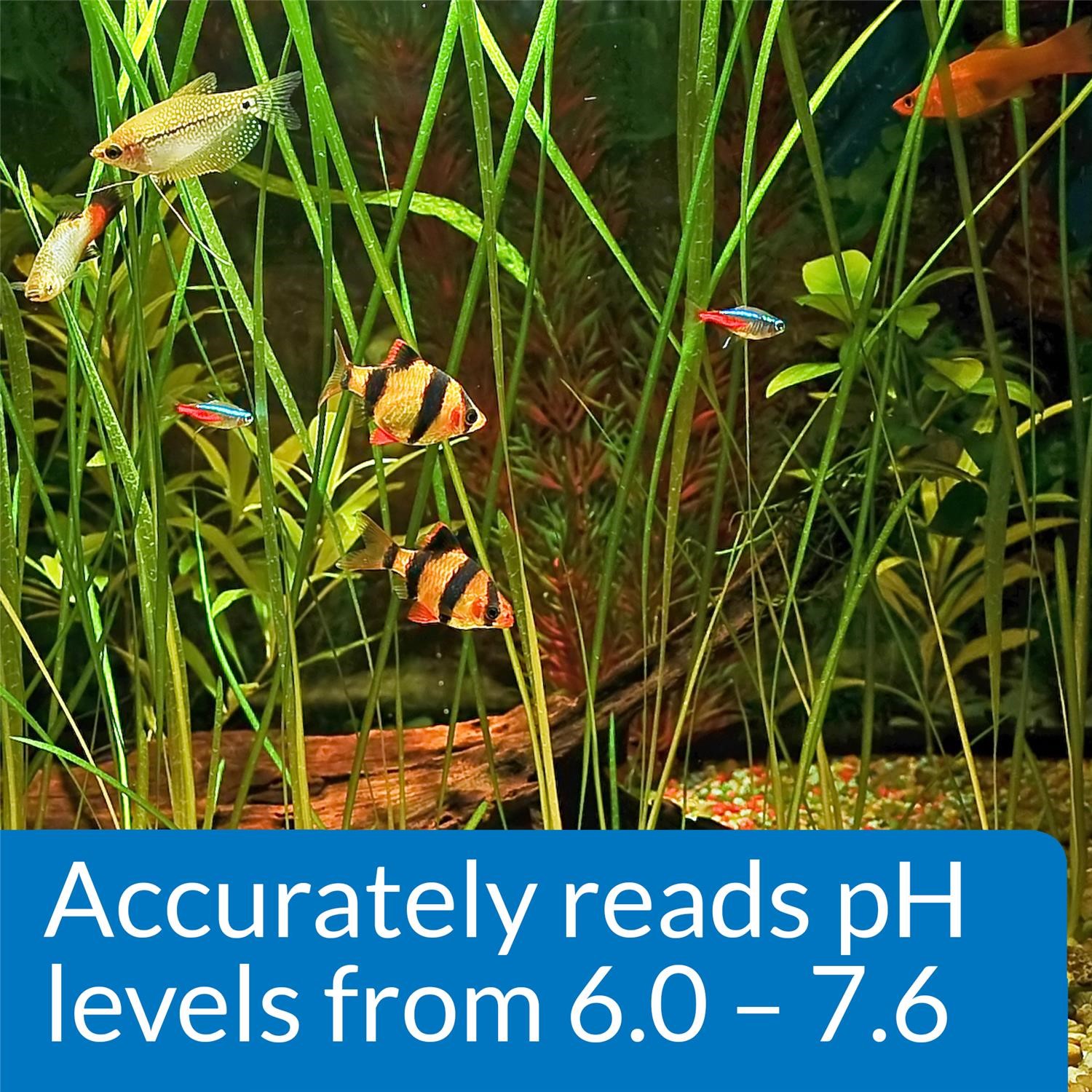 API Freshwaster And Saltwater Aquarium Test Kits - Picture 96 of 130