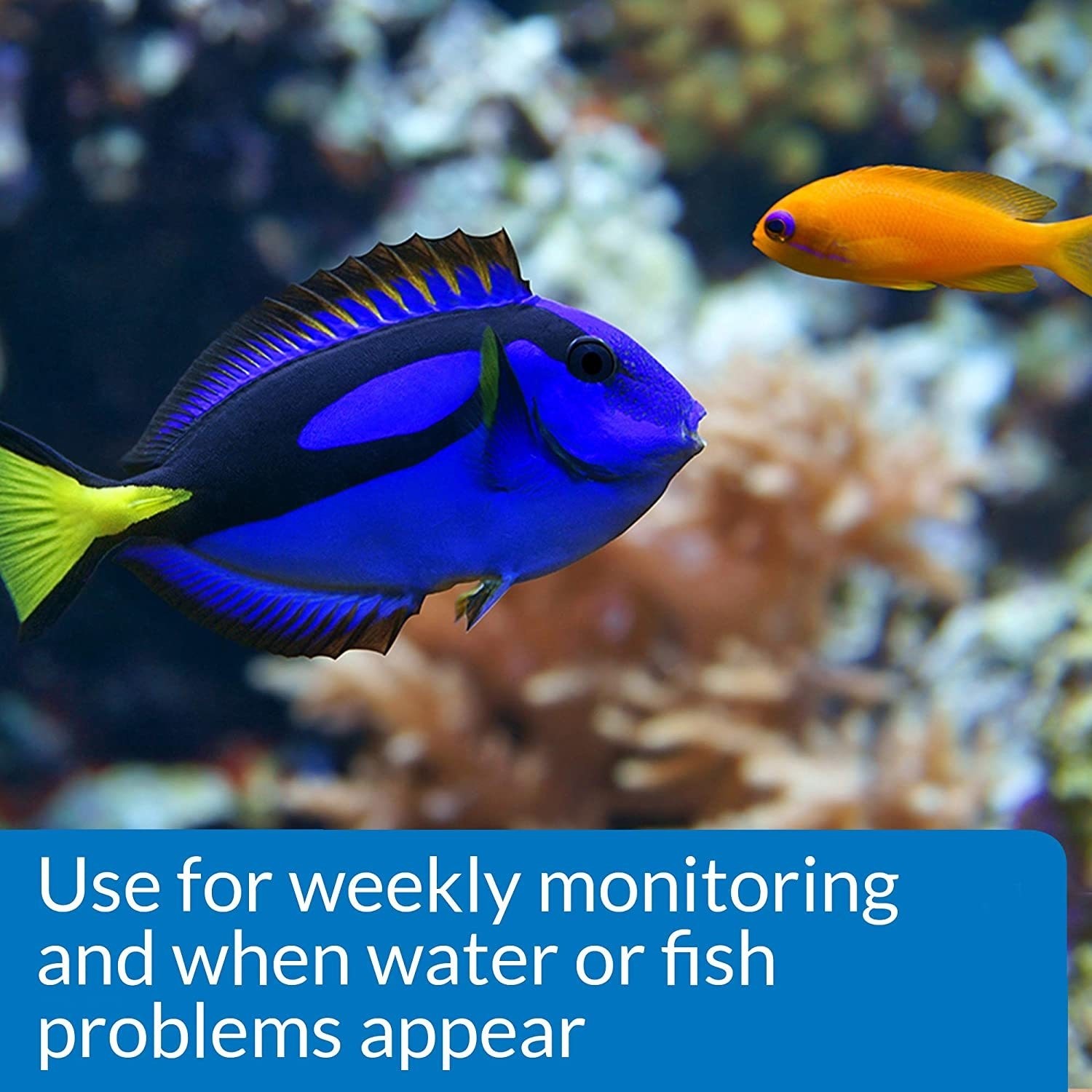 API Freshwaster And Saltwater Aquarium Test Kits - Picture 59 of 130