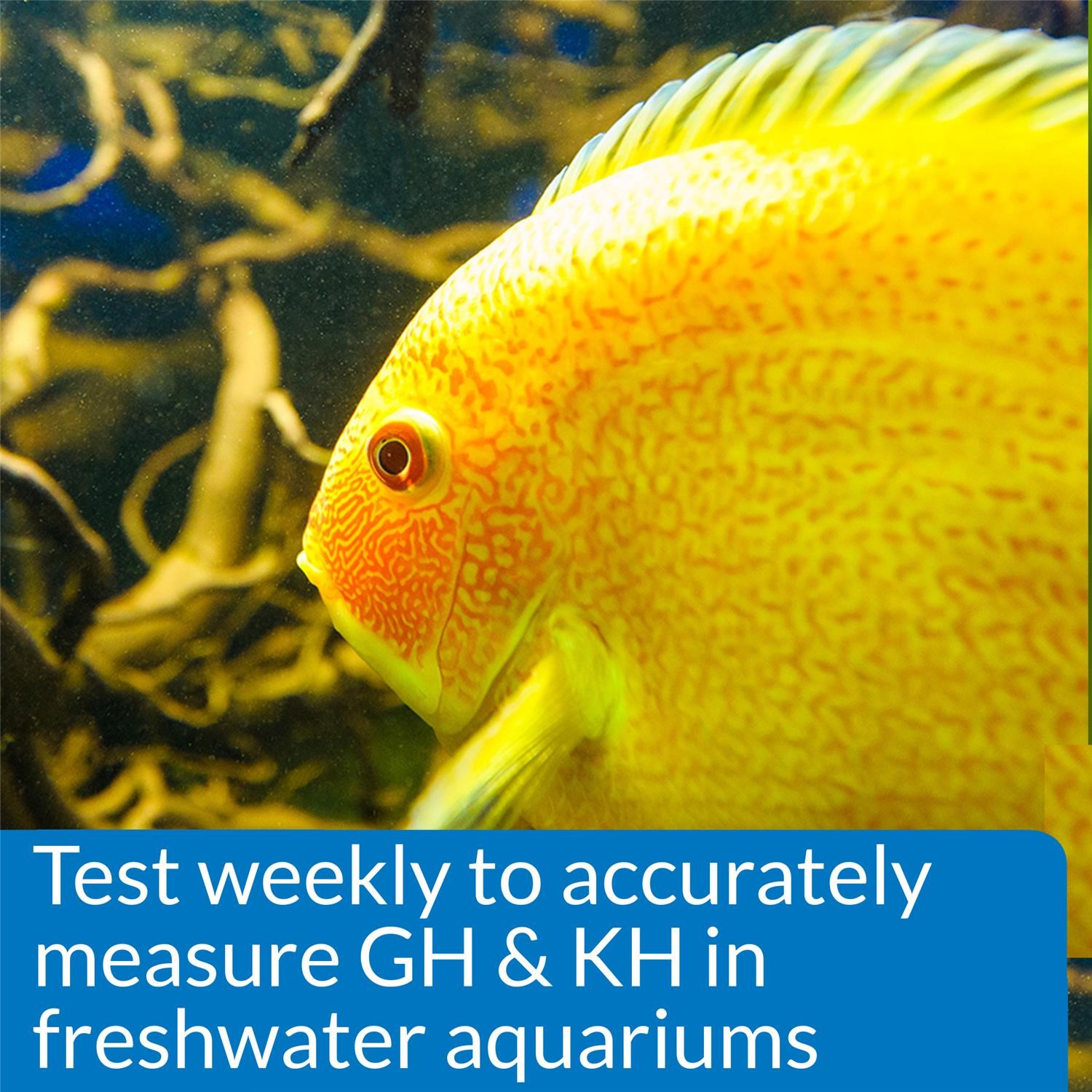 API Freshwaster And Saltwater Aquarium Test Kits - Picture 66 of 130
