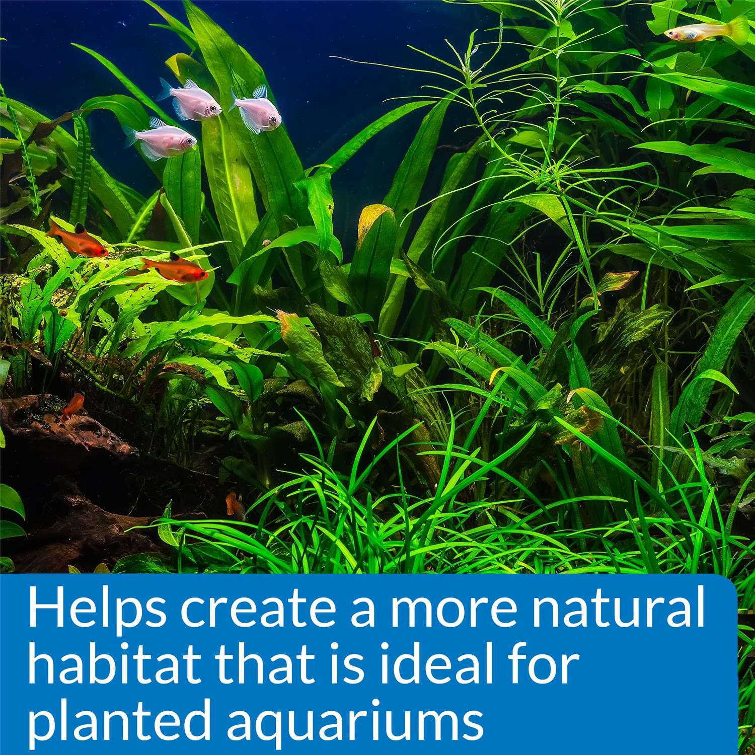 API Freshwaster And Saltwater Aquarium Test Kits - Picture 68 of 130