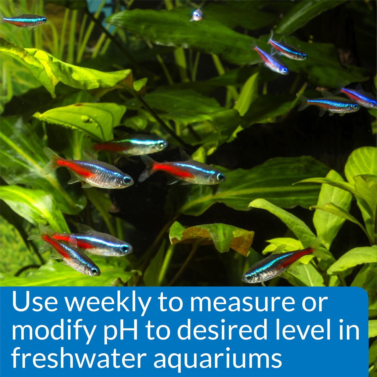 API Freshwaster And Saltwater Aquarium Test Kits - Picture 109 of 130