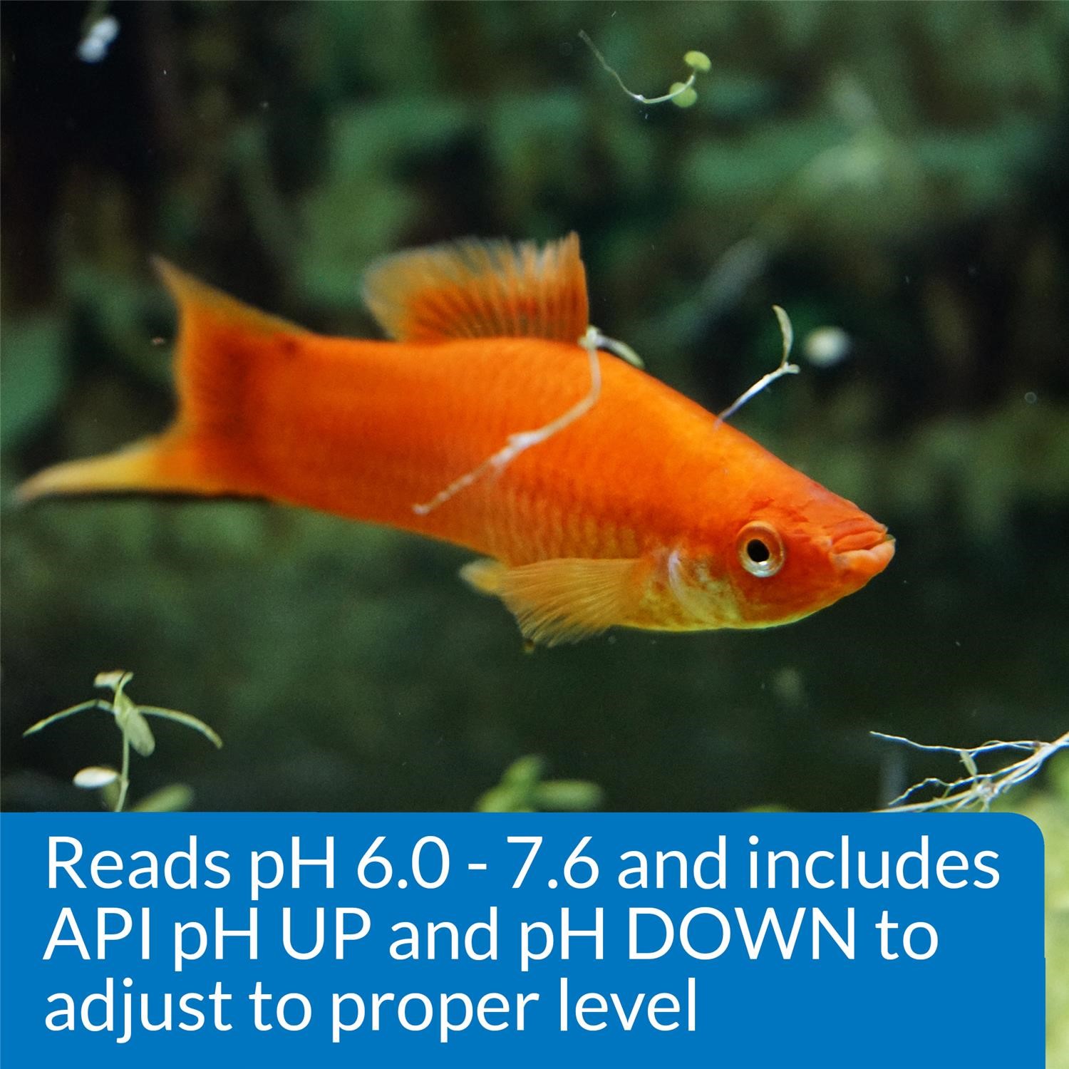 API Freshwaster And Saltwater Aquarium Test Kits - Picture 110 of 130