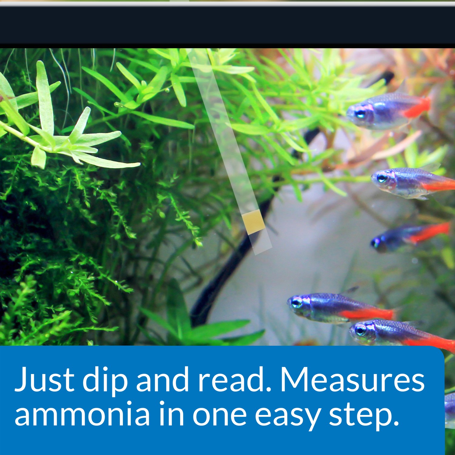 API Freshwaster And Saltwater Aquarium Test Kits - Picture 33 of 130