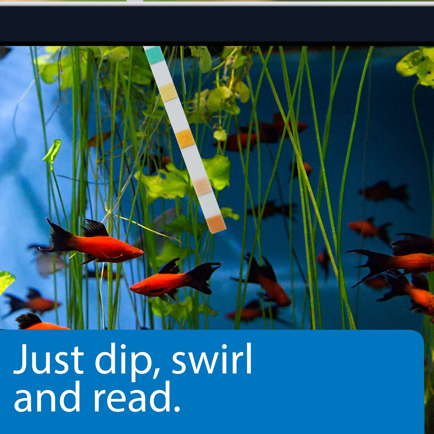 API Freshwaster And Saltwater Aquarium Test Kits - Picture 10 of 130