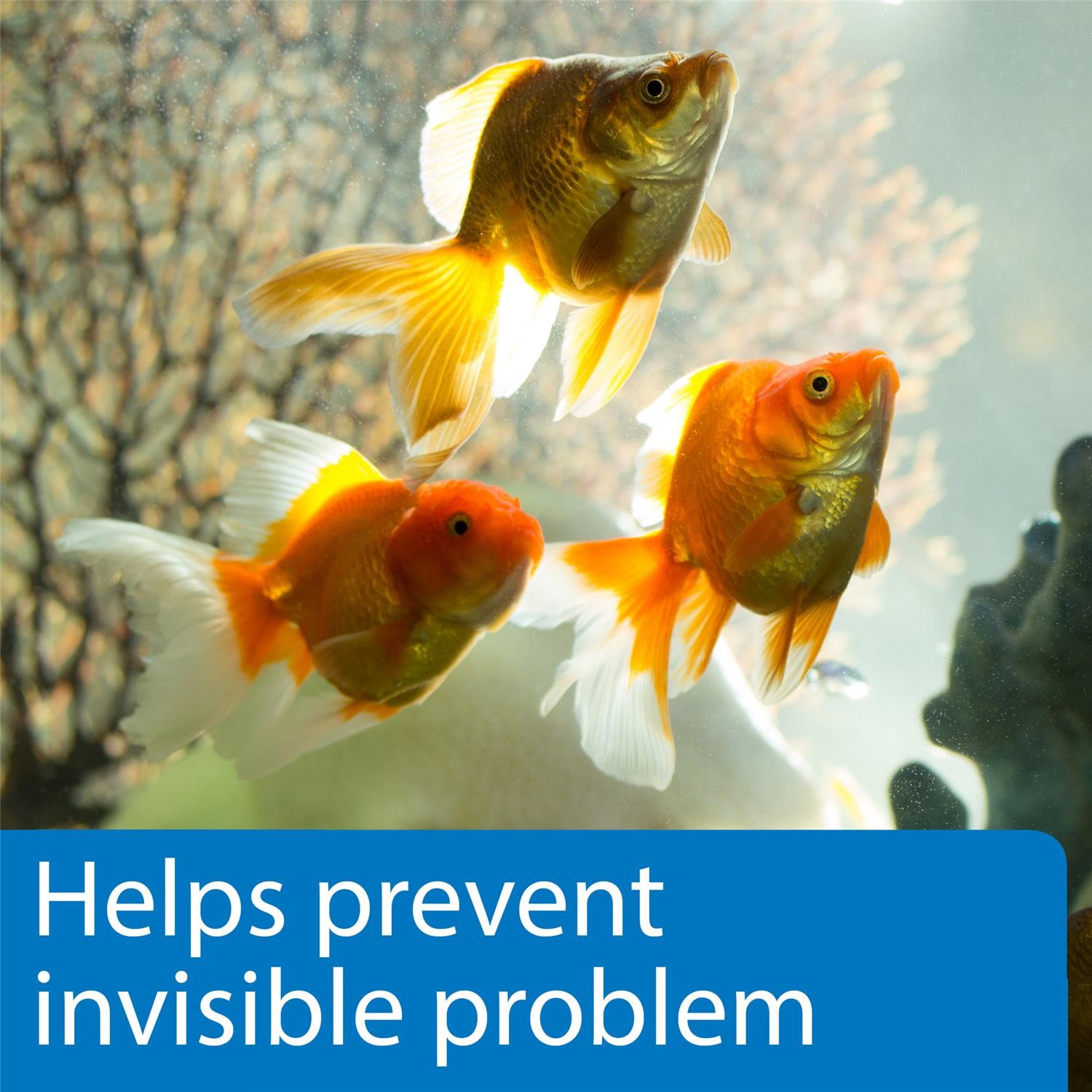API Freshwaster And Saltwater Aquarium Test Kits - Picture 20 of 130