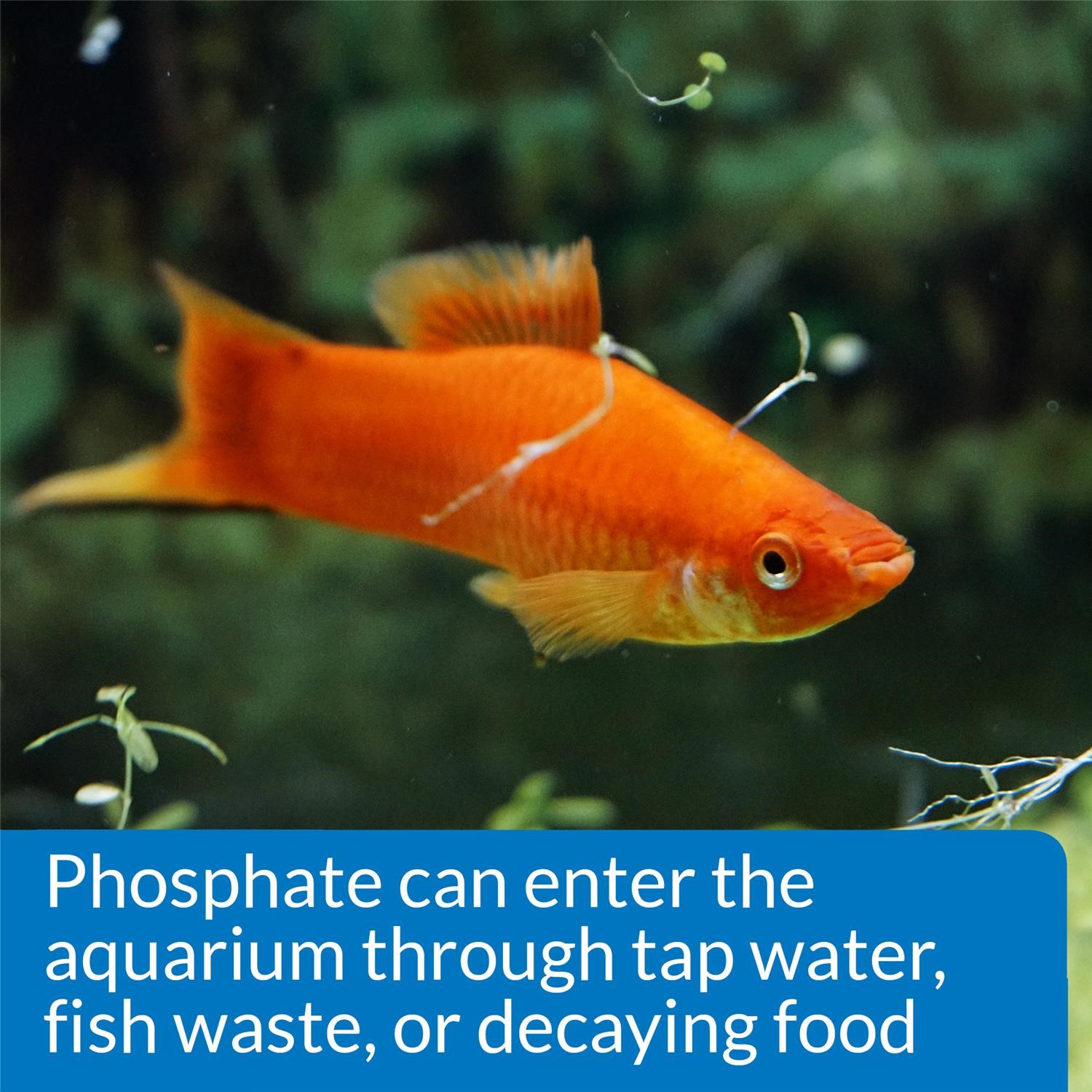 API Freshwaster And Saltwater Aquarium Test Kits - Picture 117 of 130