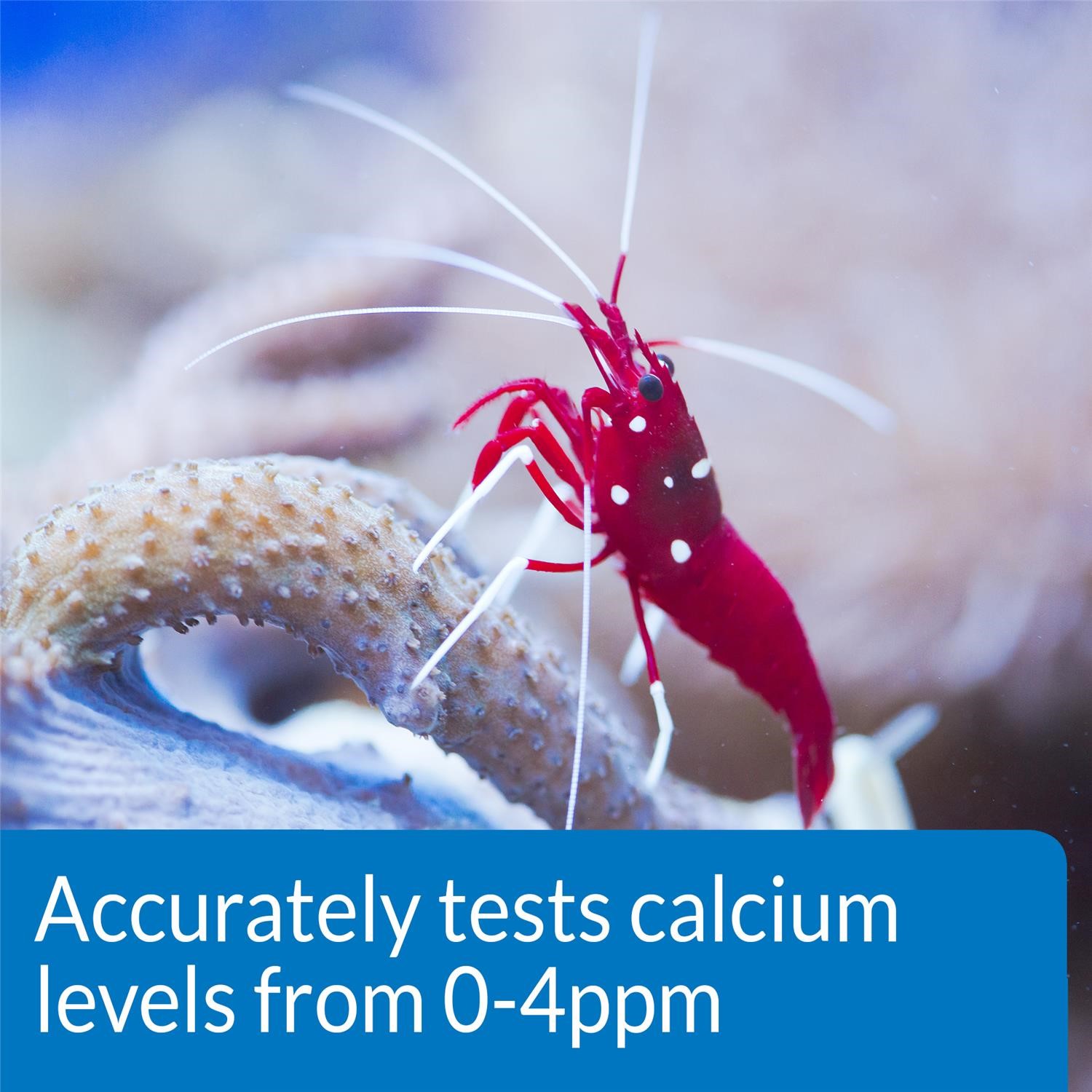 API Freshwaster And Saltwater Aquarium Test Kits - Picture 40 of 130