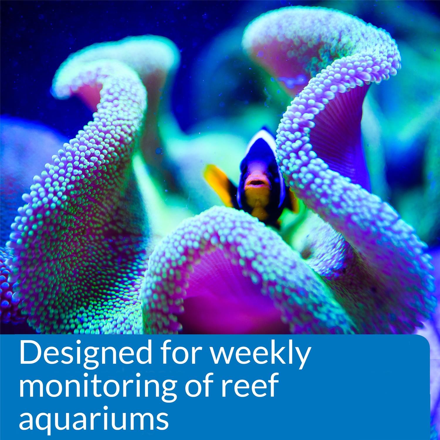 API Freshwaster And Saltwater Aquarium Test Kits - Picture 122 of 130