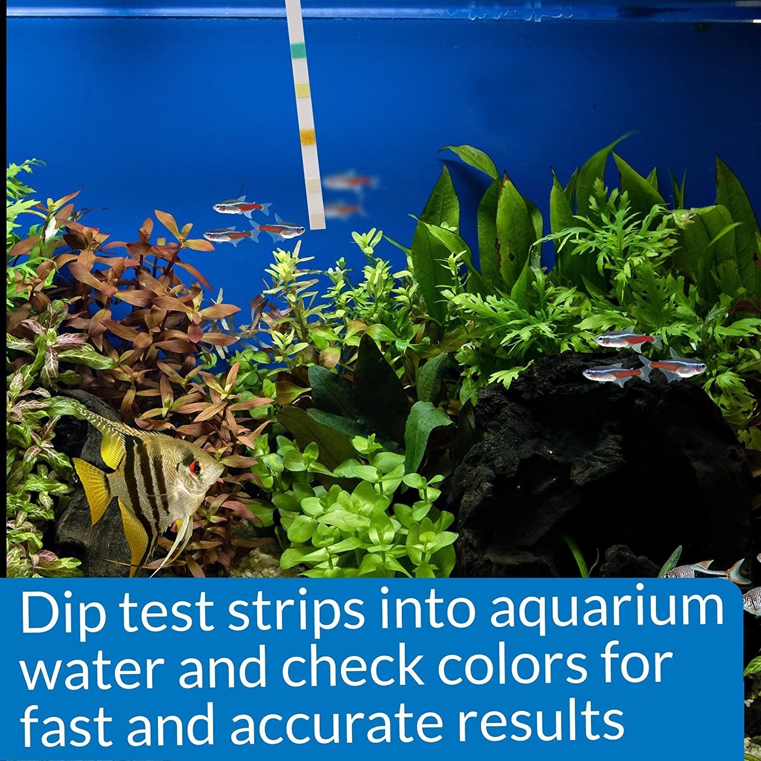API Freshwaster And Saltwater Aquarium Test Kits - Picture 7 of 130