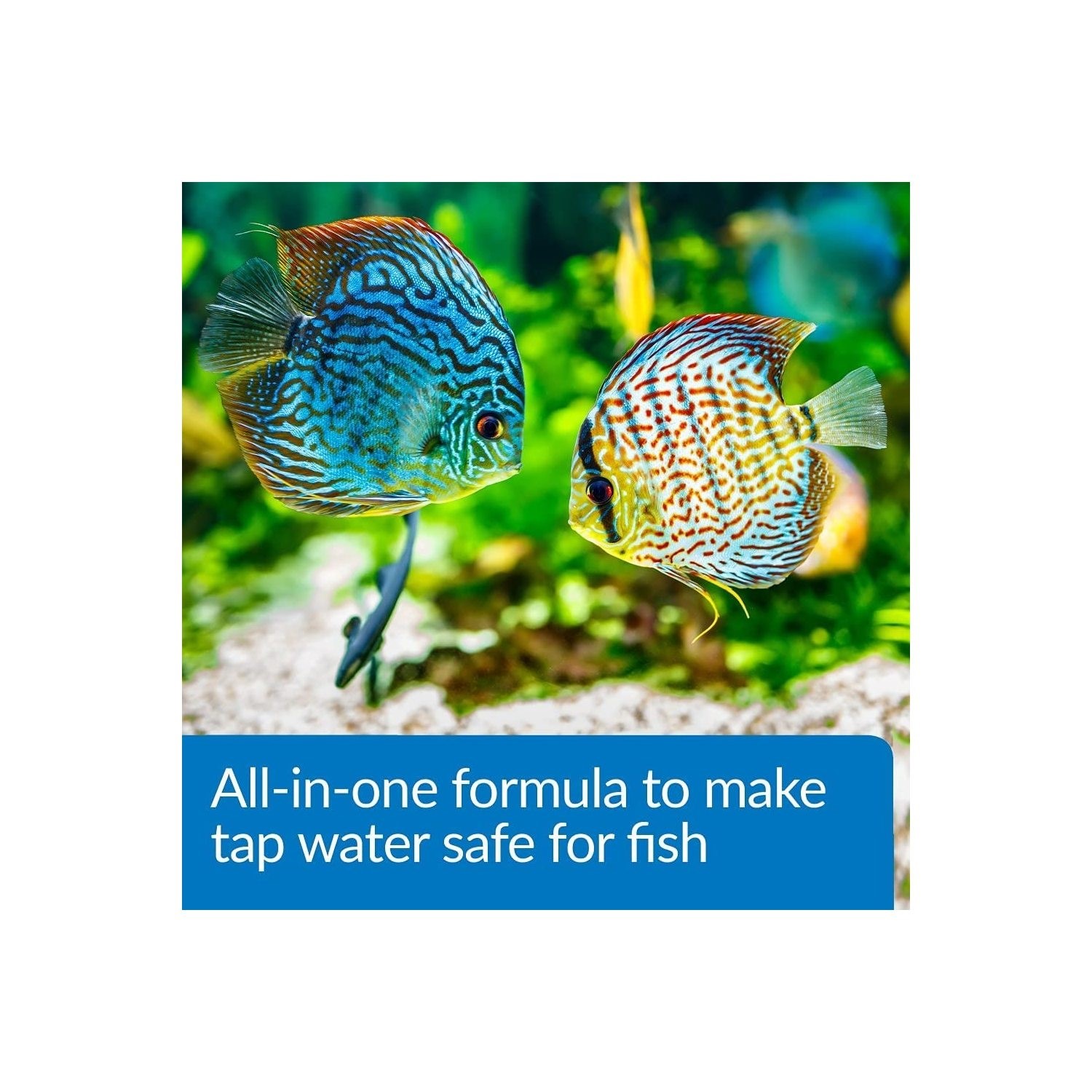 API Aqua Essential All in One Concentrated Aquarium Water Conditioner - Picture 11 of 23