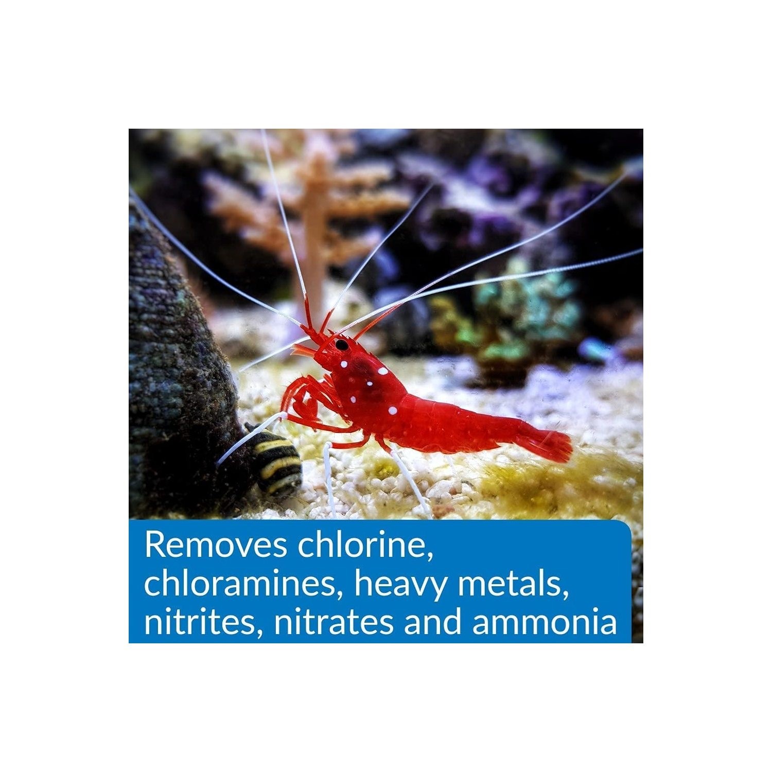 API Aqua Essential All in One Concentrated Aquarium Water Conditioner - Picture 12 of 23