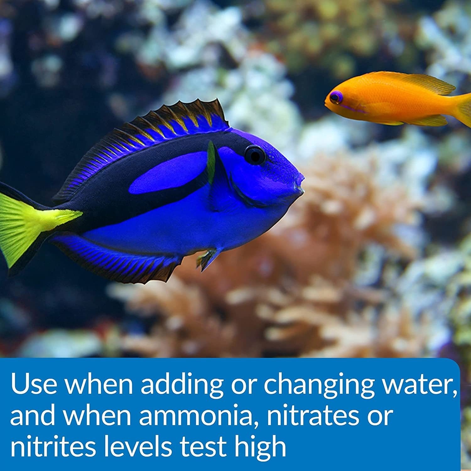 API Aqua Essential All in One Concentrated Aquarium Water Conditioner - Picture 13 of 23