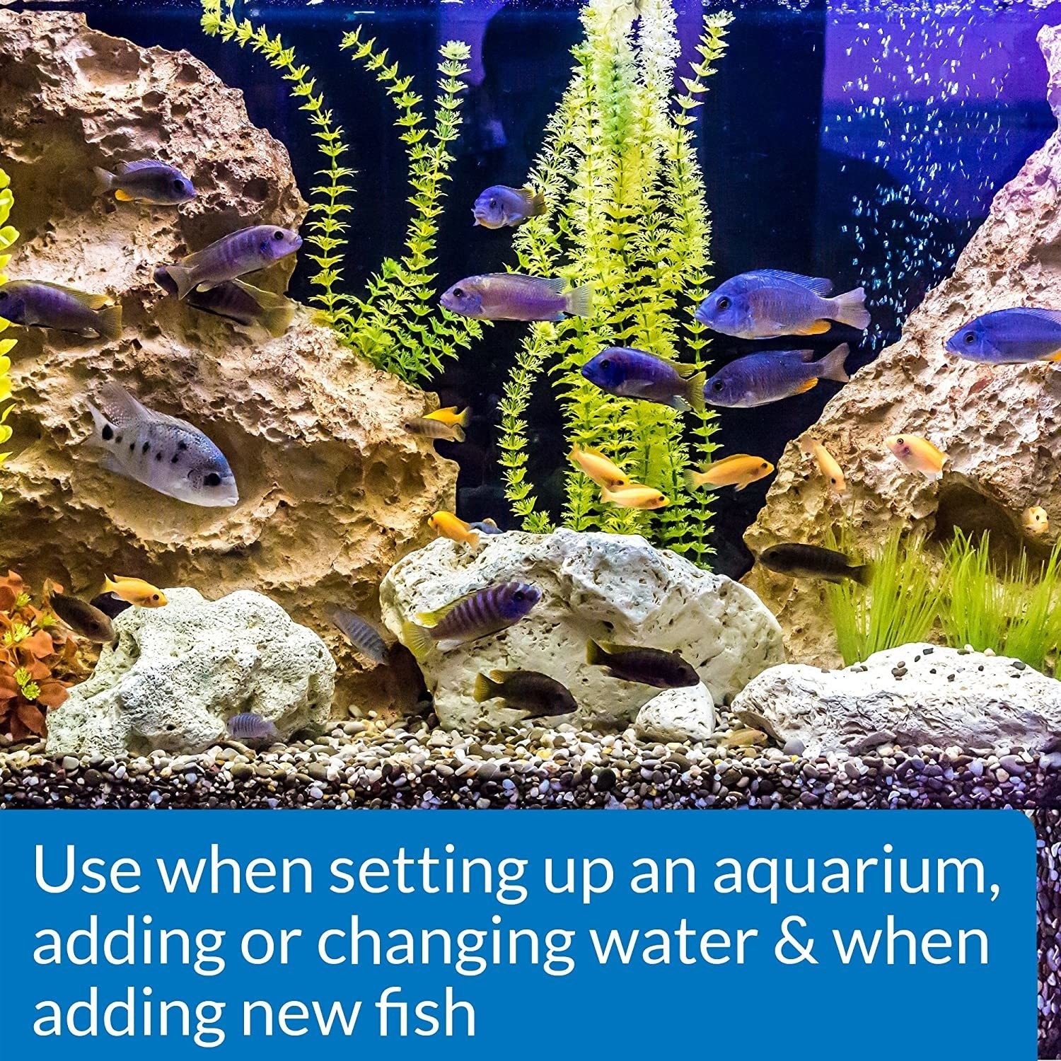 API Stress Coat Aquarium Water Conditioner Bottle - Picture 19 of 31