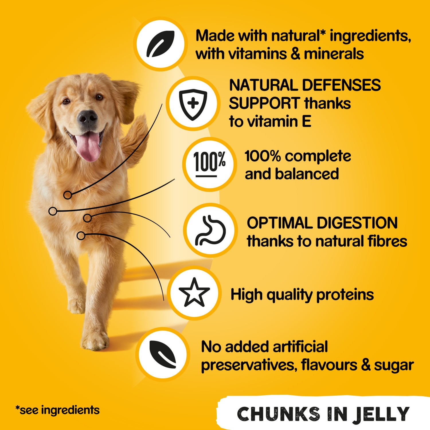 24 x 385g Pedigree Adult Wet Dog Food Tins Mixed Selection in Jelly Dog Can