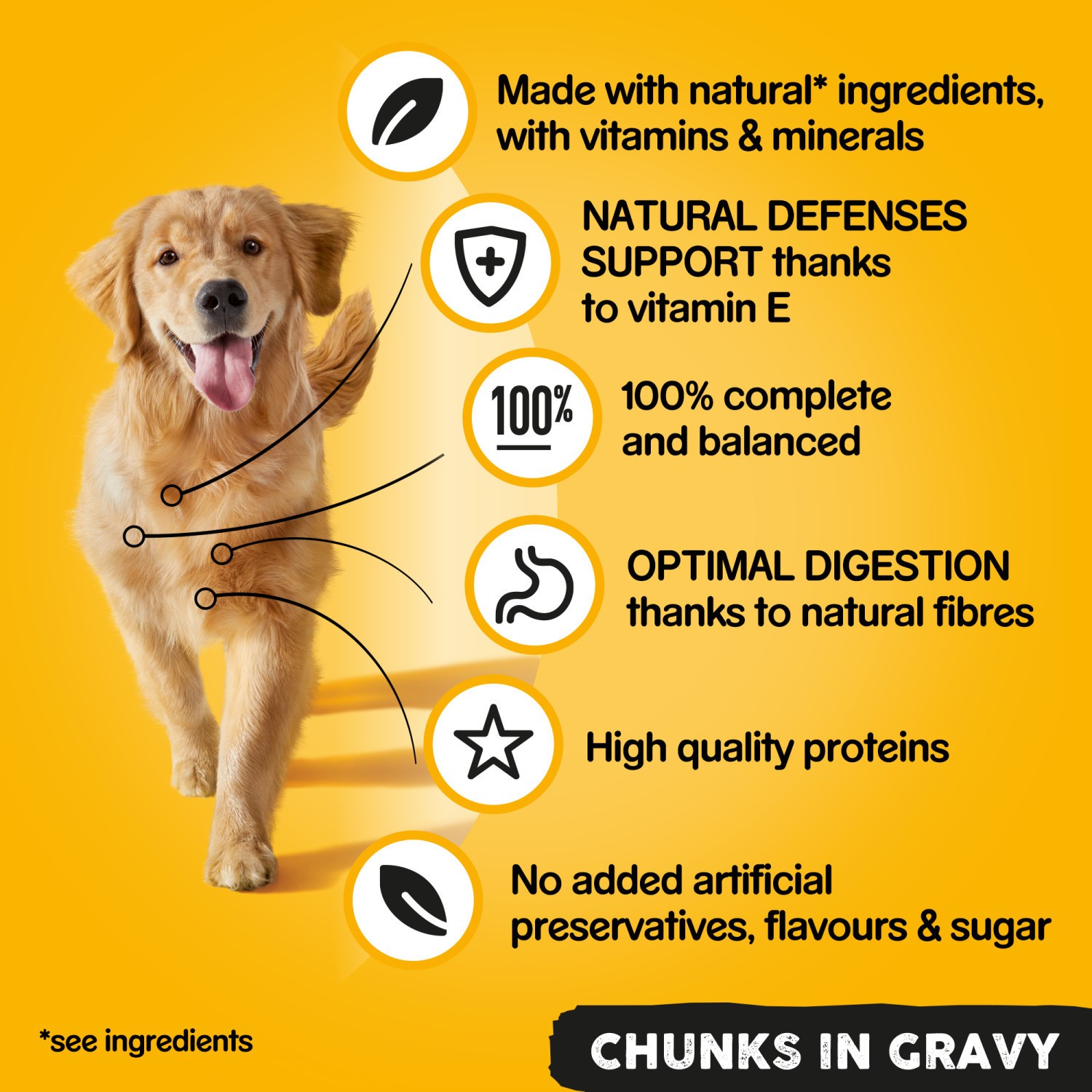 24 x 400g Pedigree Adult Wet Dog Food Tins Mixed Country Casseroles in Gravy