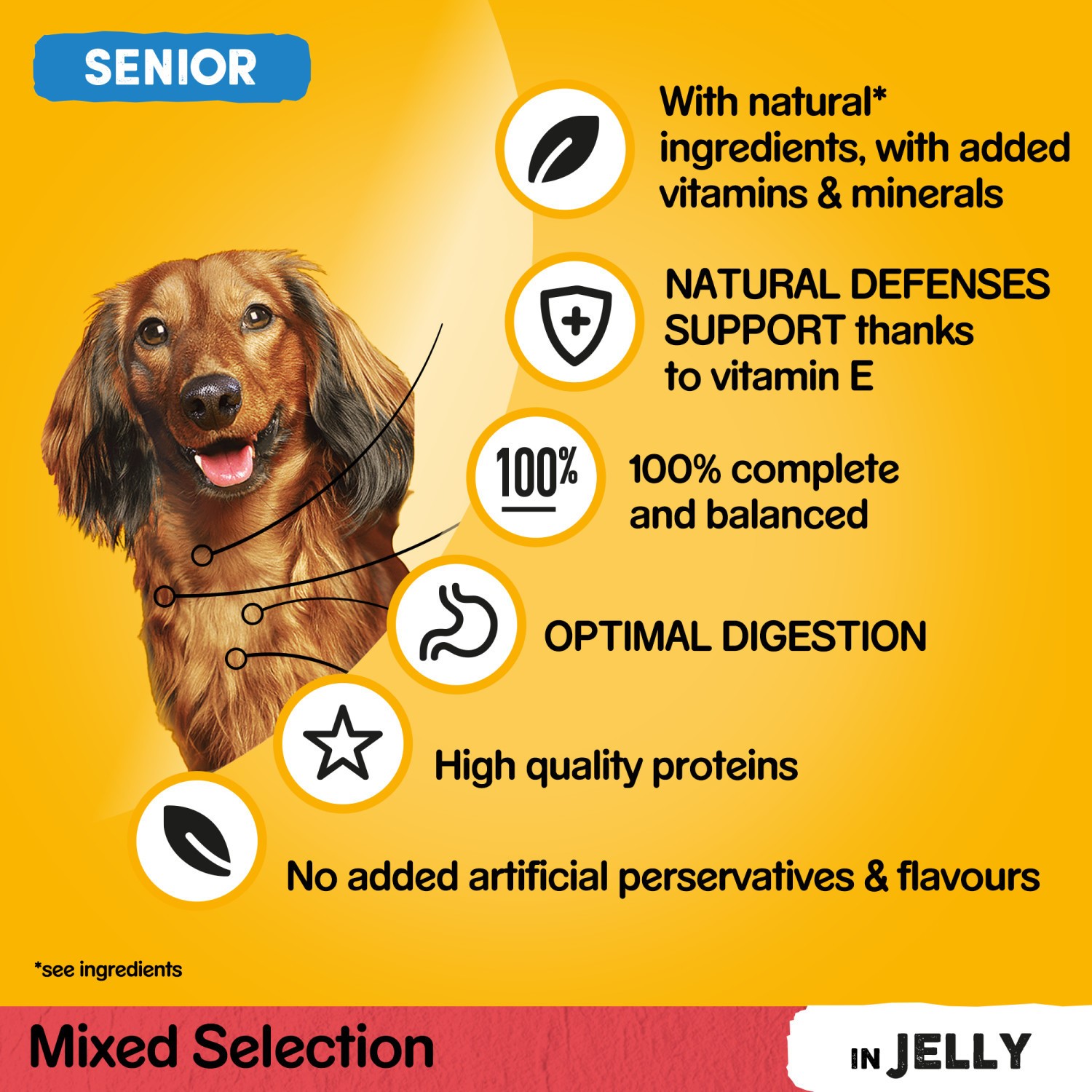 96 x 100g Pedigree Senior Wet Dog Food Pouches Mixed Selection In Jelly