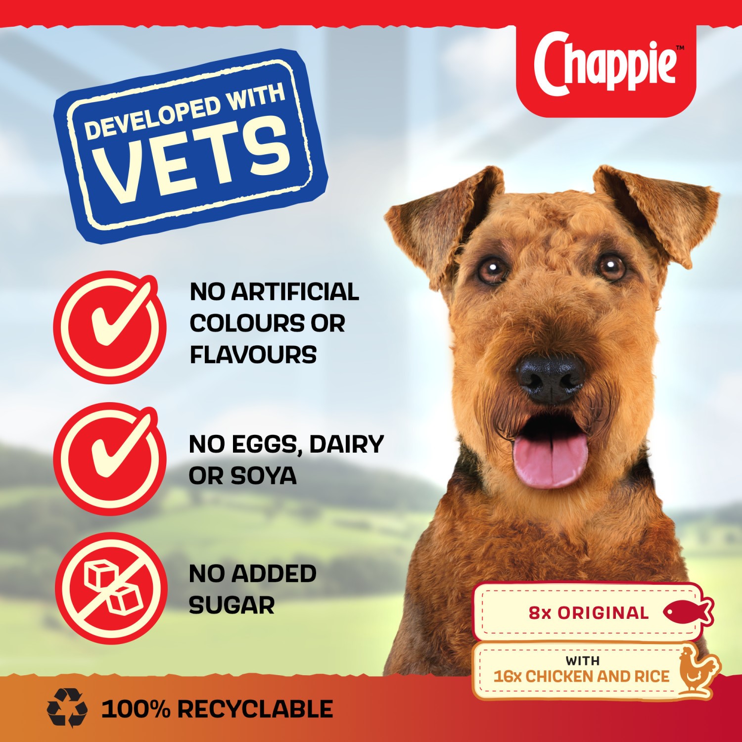 24 x 412g Chappie Adult Wet Dog Food Tins Favourites Original & Chicken in Loaf