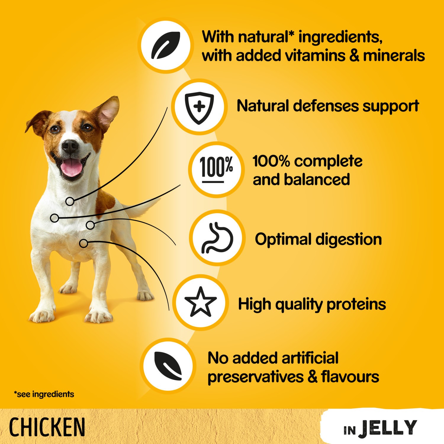 126 x 100g Pedigree Adult Wet Dog Food Pouches Chicken in Jelly