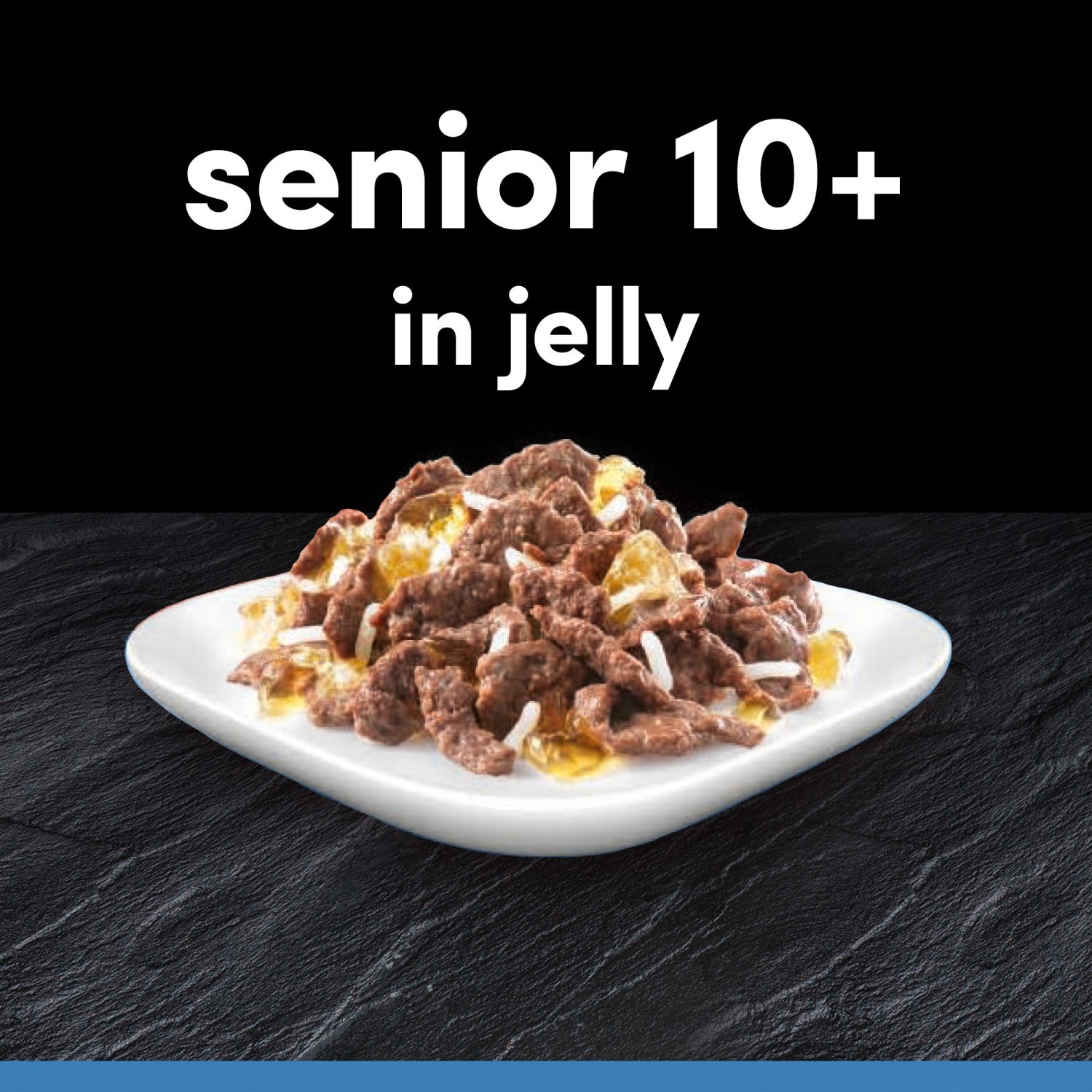 96 x 100g Cesar Luxury Senior 10+ Wet Dog Food Pouches Mixed Selection in Jelly