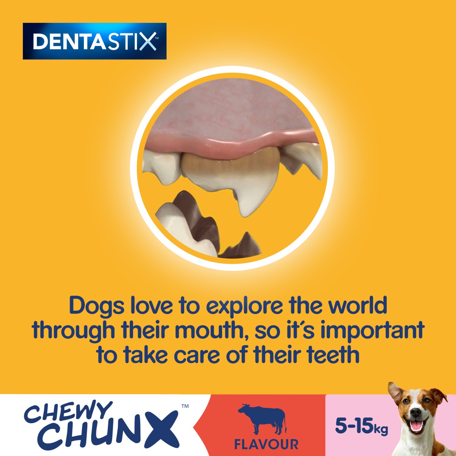 5 x 68g Pedigree Dentastix Chewy Chunx Mini Dog Treat Beef Flavour