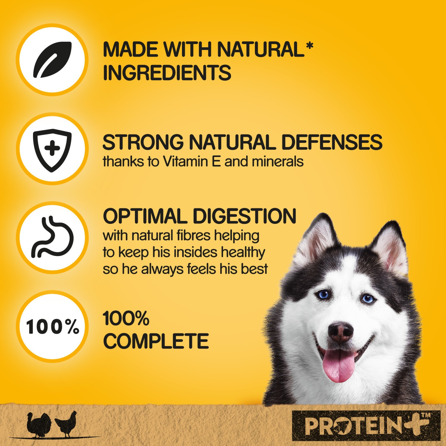 12 x 400g Pedigree Protein Plus Adult Dog Food Tin Turkey & Chicken in Loaf