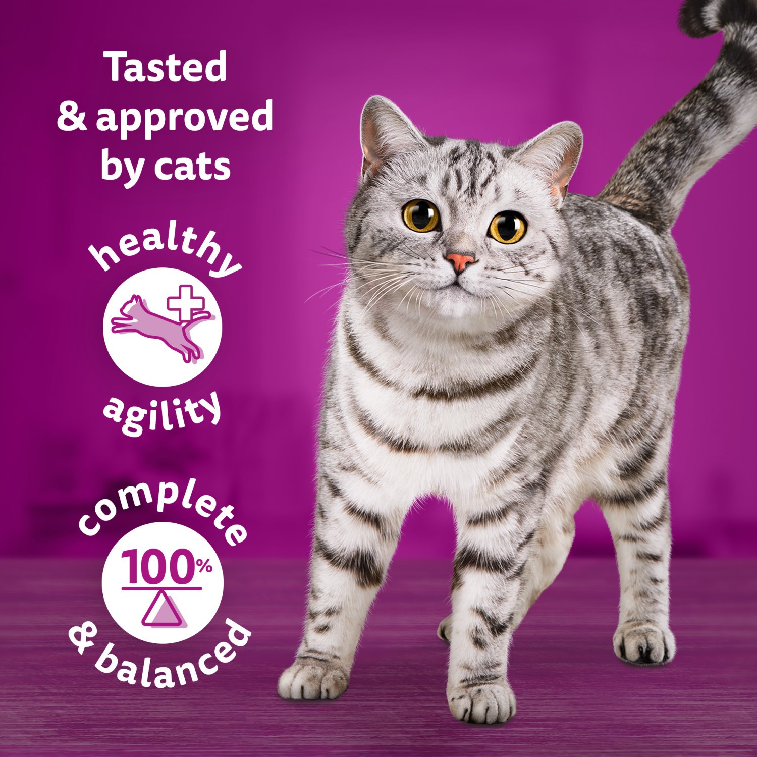 120 x 85g Whiskas 1+ Chef's Choice Mix Mixed Adult Wet Cat Food Pouches in Gravy