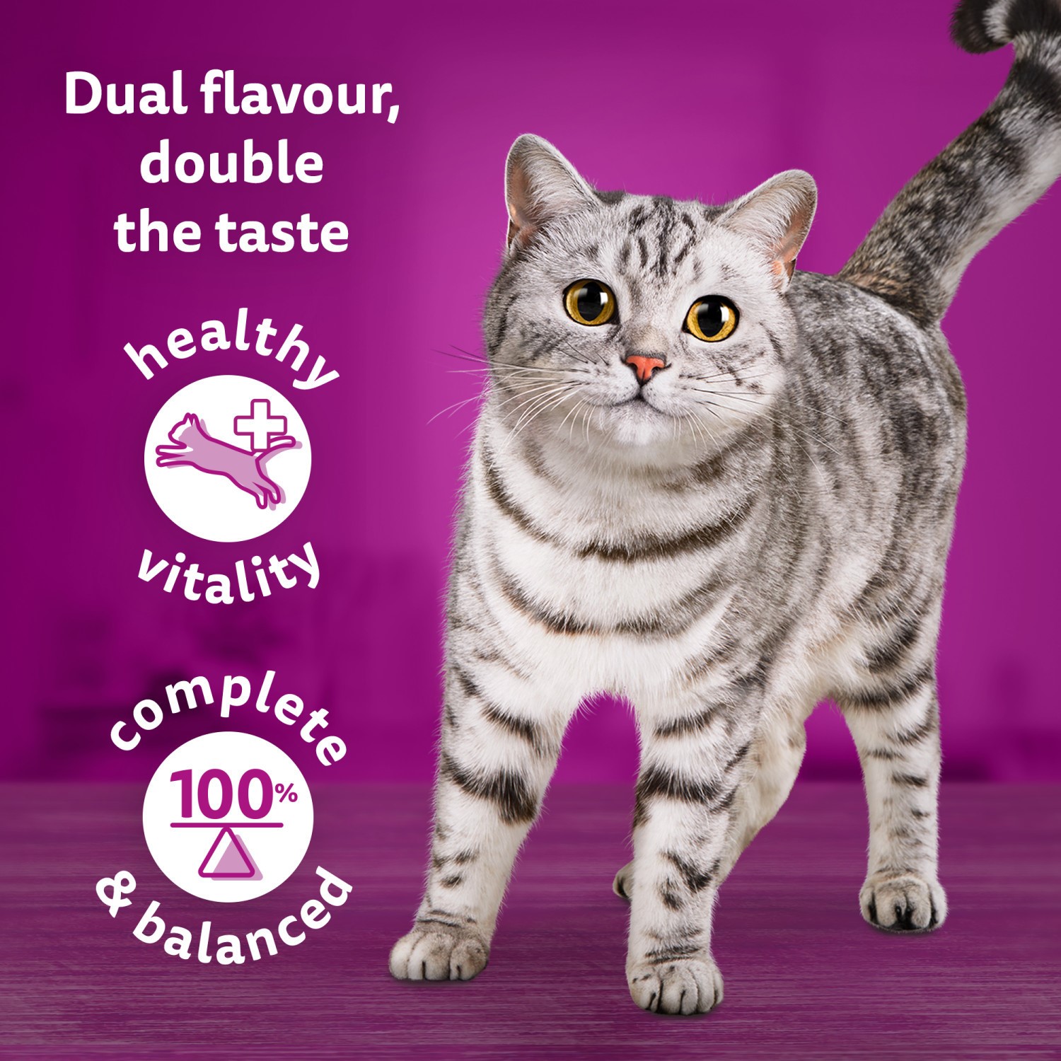 144 x 85g Whiskas 1+ Duo Surf & Turf Mixed Adult Wet Cat Food Pouches in Jelly