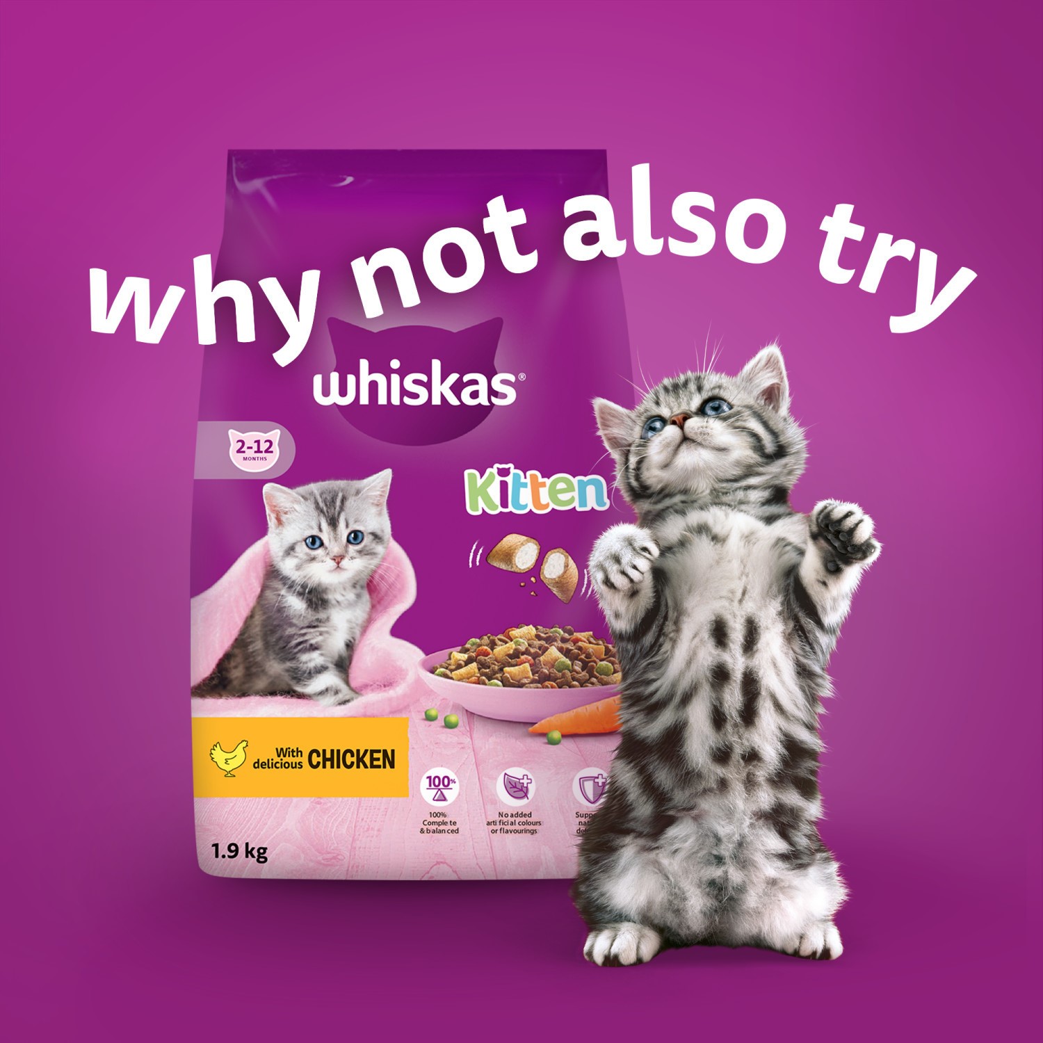 144 x 85g Whiskas Kitten Mixed Menu Wet Cat Food Pouches in Jelly