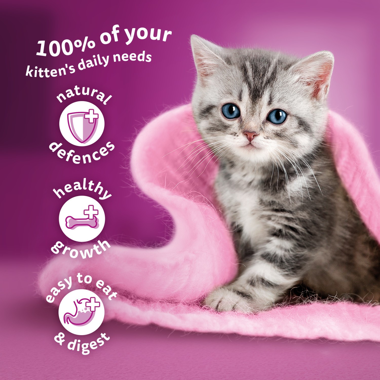144 x 85g Whiskas Kitten Mixed Menu Wet Cat Food Pouches in Jelly