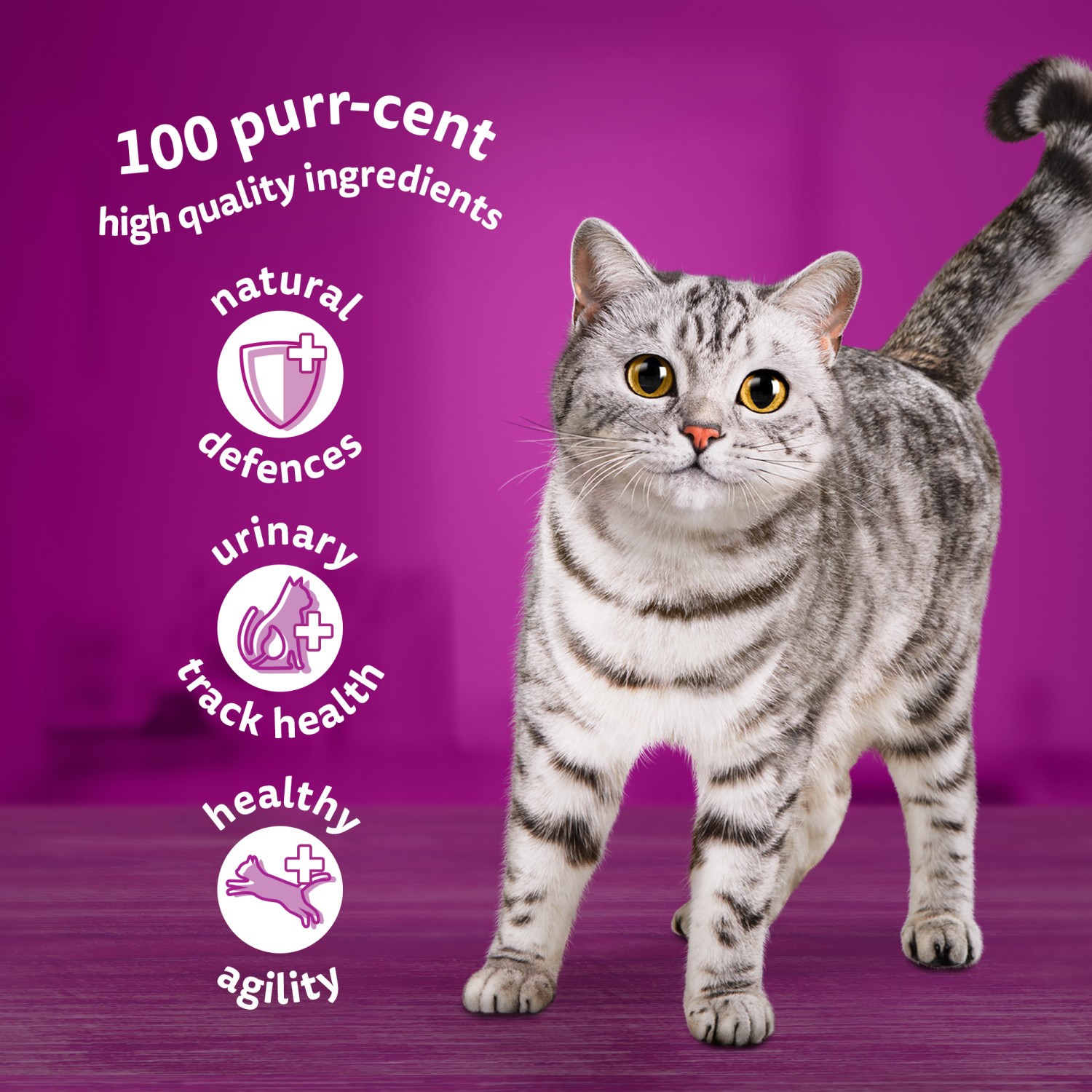 96 x 85g Whiskas 7+ Mixed Menu Senior Wet Cat Food Pouches in Gravy