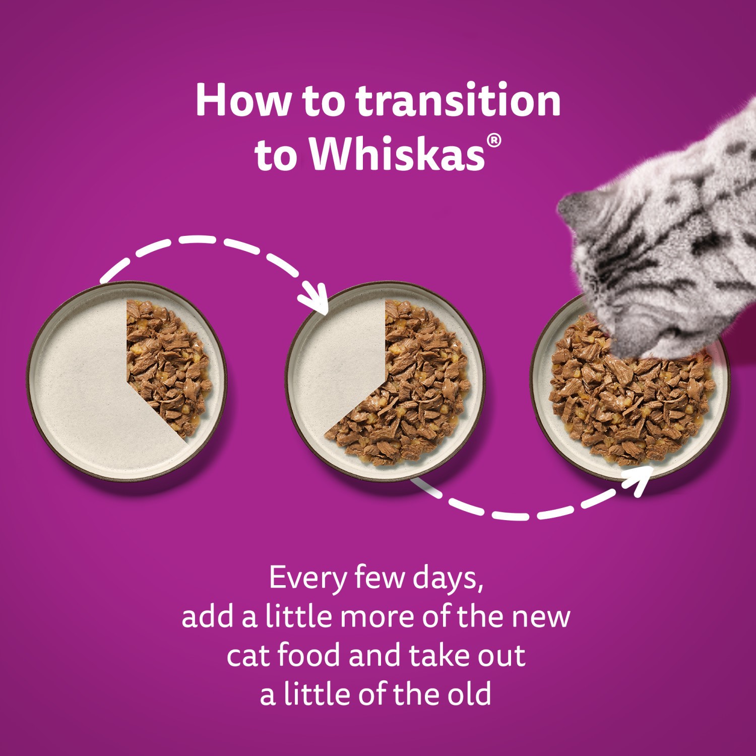 144 x 85g Whiskas 11+ Fish Favourites Mixed Senior Wet Cat Food Pouches in Jelly