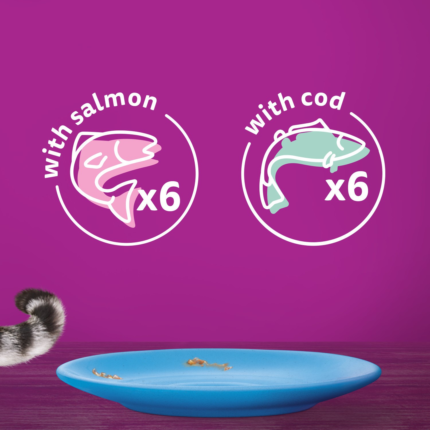 144 x 85g Whiskas 11+ Fish Favourites Mixed Senior Wet Cat Food Pouches in Jelly