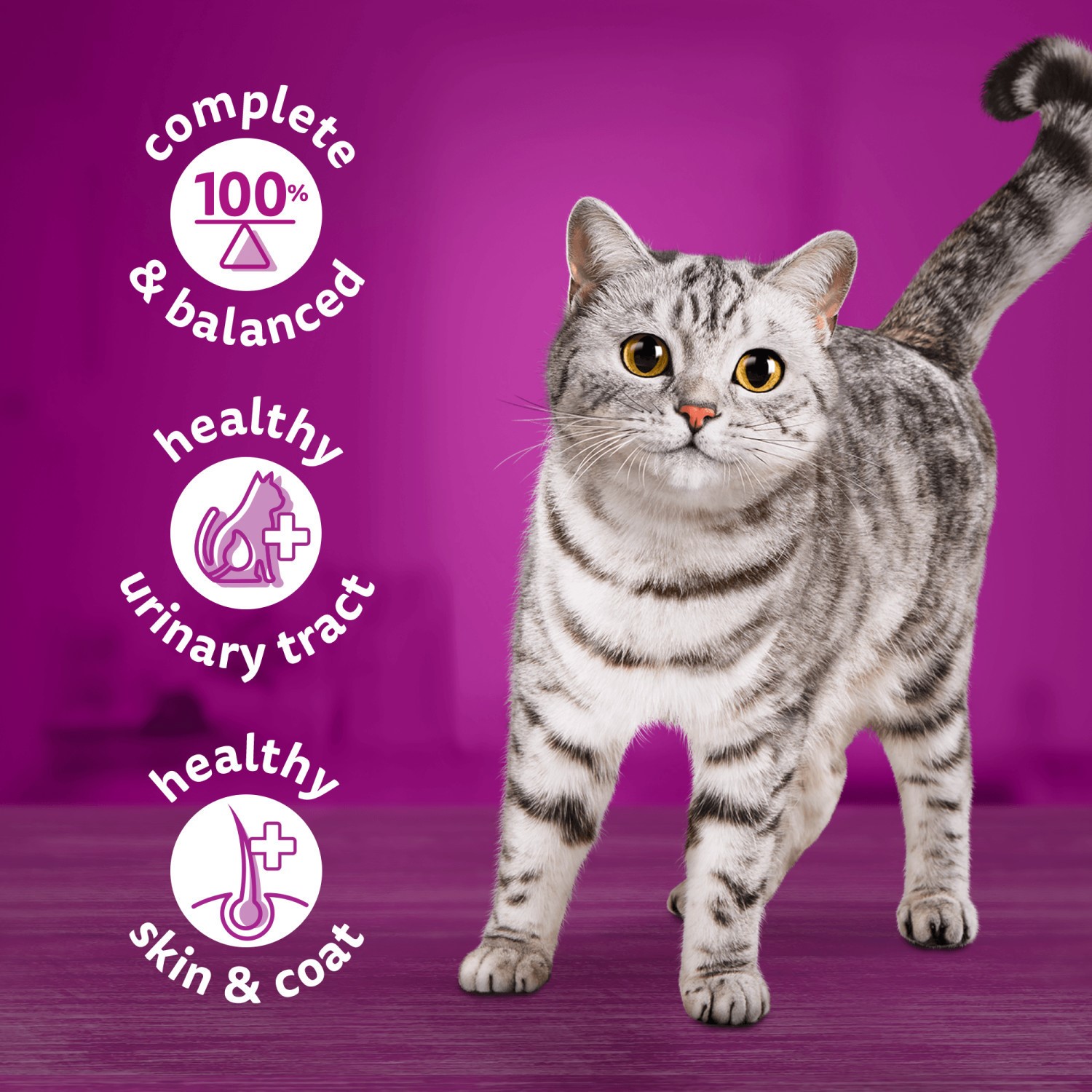 24 x 400g Whiskas 1+ Adult Wet Cat Food Tins Mixed Ocean Menu in Jelly