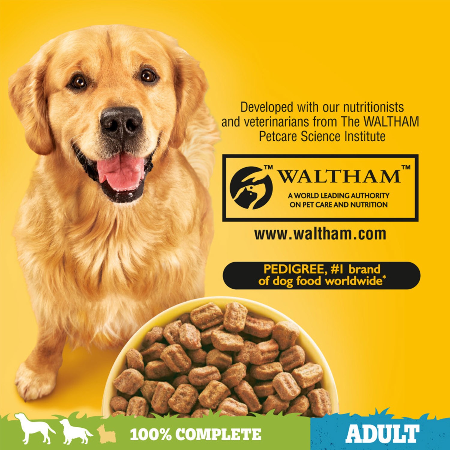 9 kg Pedigree Complete Adult Dry Dog Food Poultry and Vegetables Dog Biscuits