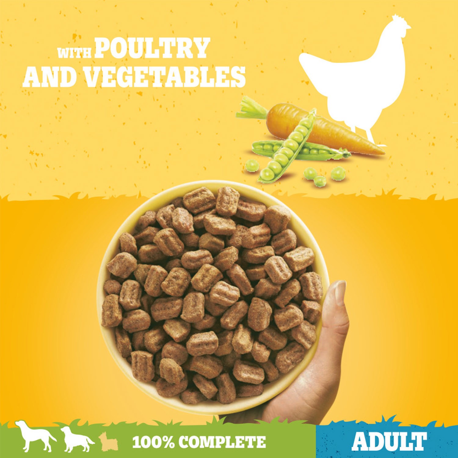 9 kg Pedigree Complete Adult Dry Dog Food Poultry and Vegetables Dog Biscuits