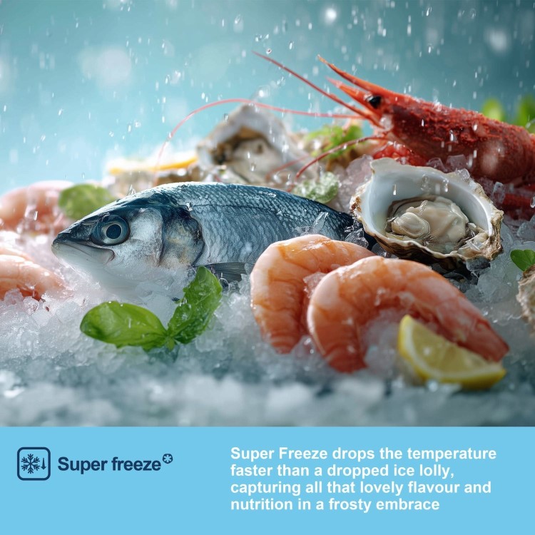 Fridgemaster 485 Litre French Style American Fridge Freezer - Silver