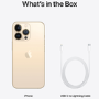 Apple iPhone 13 Pro Max Gold 6.7" 1TB 5G Unlocked & SIM Free Smartphone