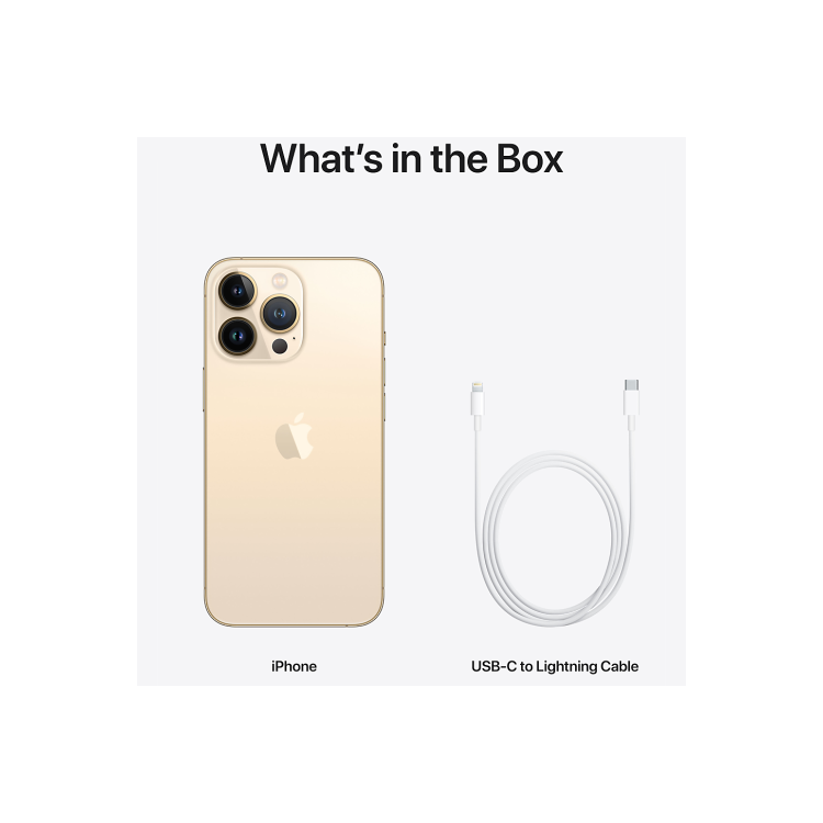 Apple iPhone 13 Pro Max Gold 6.7" 1TB 5G Unlocked & SIM Free Smartphone