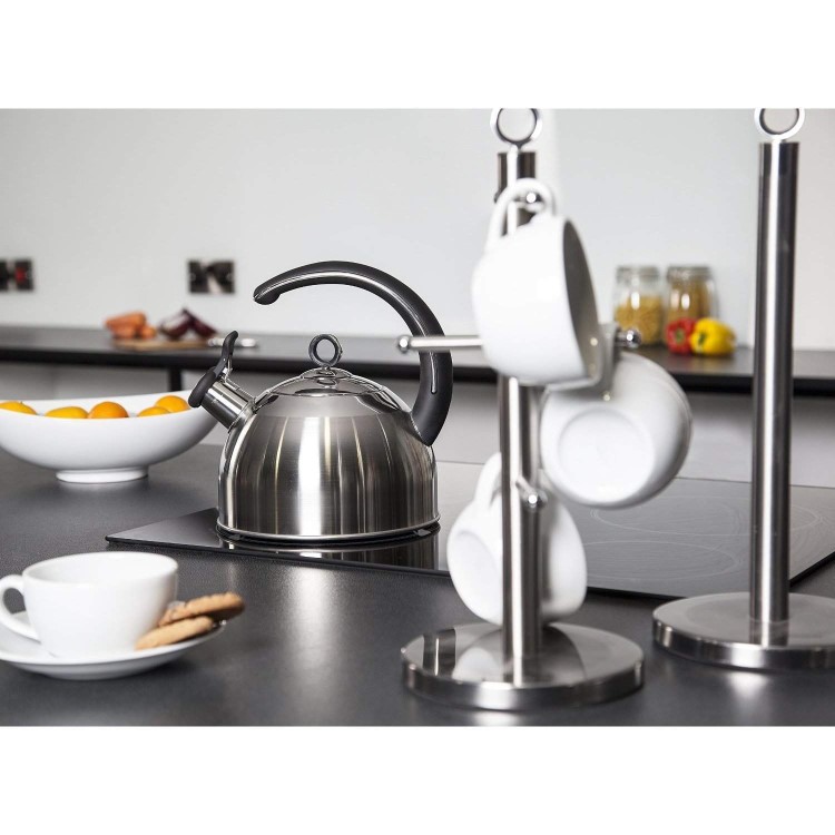 Morphy Richards MR_46505 Accents 2.5L Whistling Kettle Stainless Steel