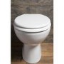 Standard Soft Close High Gloss White MDF Toilet Seat- Bottom Fix