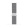 Apple Watch Series 4 GPS + Cellular 40mm Stainless Steel Case with Milanese Loop