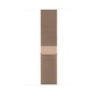 Apple Watch Series 4 GPS + Cellular 40mm Gold Stainless Steel Case with Gold Milanese Loop