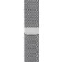 Apple Watch Series 5 GPS + Cellular 40mm Stainless Steel Case with Stainless Steel Milanese Loop