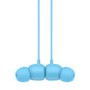 Beats Flex All-Day Wireless Earphones - Flame Blue