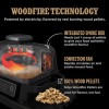 Ninja Woodfire Electric BBQ Grill &amp; Smoker