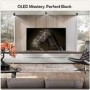 LG OLED42C66LB 42" 4K OLED evo Smart TV with Dolby Vision Dolby Atmos & webOS