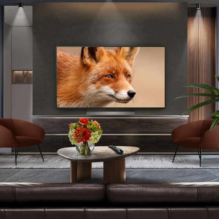 LG OLED evo 48 inch 4K Ultra HD Smart TV
