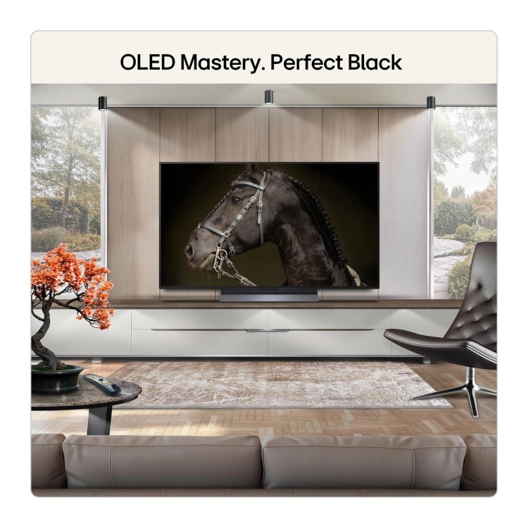 LG OLED48C66LB 48" 4K OLED Evo AI Smart TV