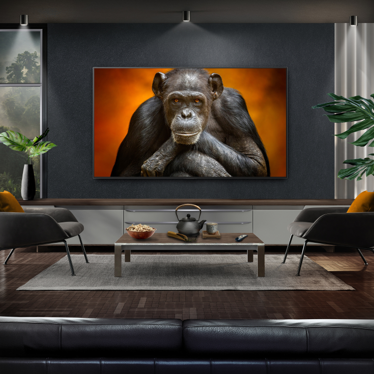 LG OLED evo 55 inch 4K HDR Smart TV