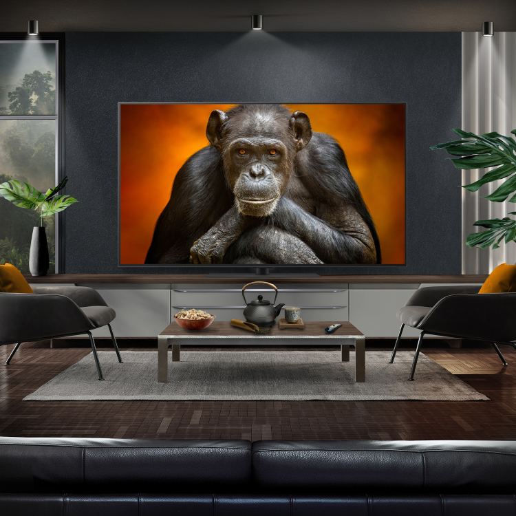 LG OLED evo 55 inch 4K Ultra HD Smart TV